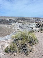 Blue mesa FP (13).JPG